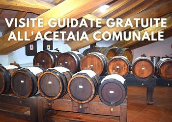 The Municipal Vinegar